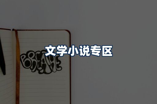 文学小说PDF展示