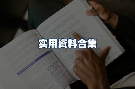 实用PDF资料展示